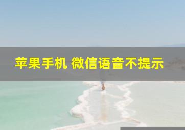 苹果手机 微信语音不提示